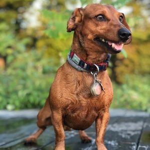 Meet your Posher, Julie